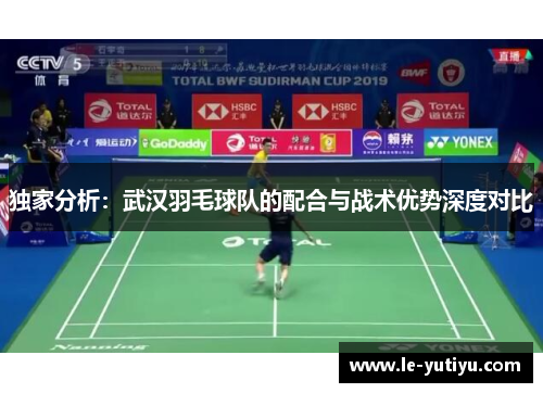 独家分析：武汉羽毛球队的配合与战术优势深度对比