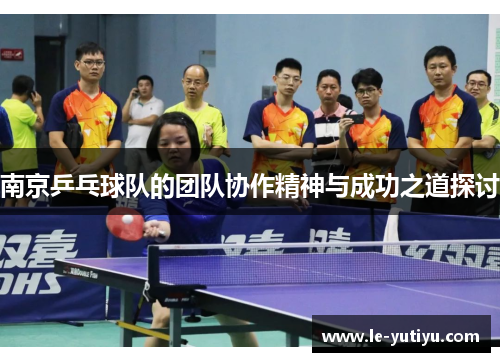 南京乒乓球队的团队协作精神与成功之道探讨
